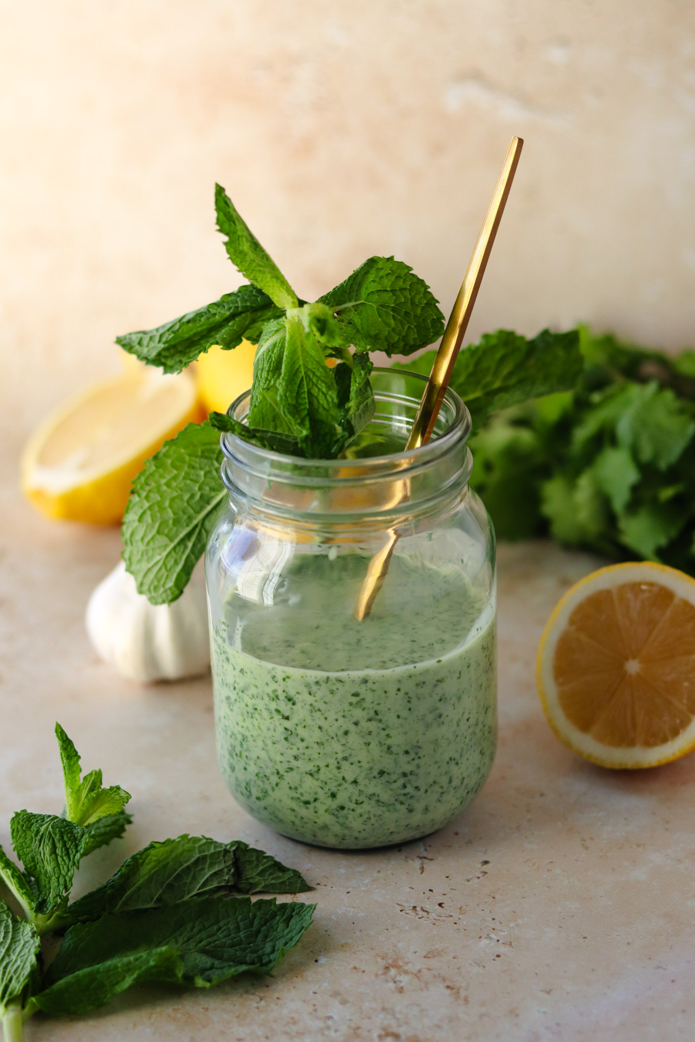 Cilantro and Mint Chutney